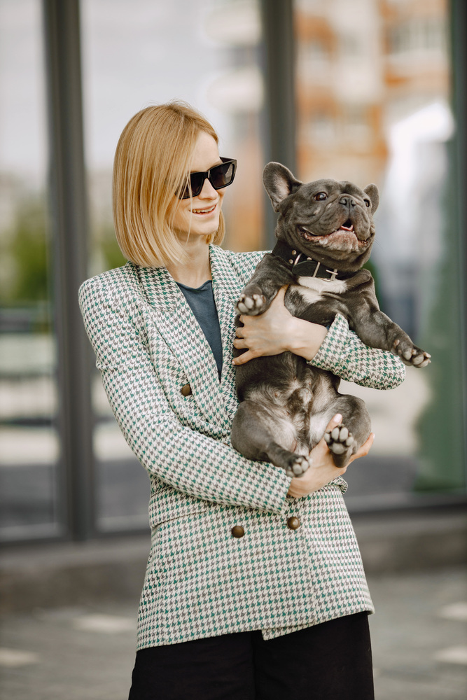 Veterinary accountant in Saskatchewan