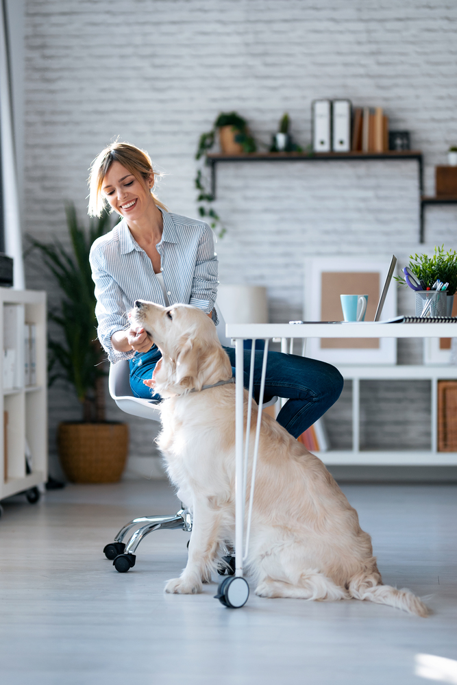 Veterinary accountant with dog